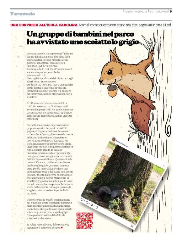 pag 25